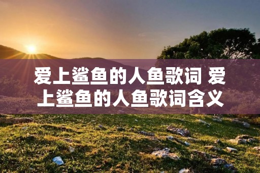 爱上鲨鱼的人鱼歌词 爱上鲨鱼的人鱼歌词含义
