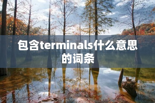 包含terminals什么意思的词条 包含terminals什么意思的词条