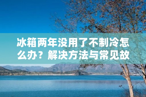 冰箱两年没用了不制冷怎么办？解决方法与常见故障排除