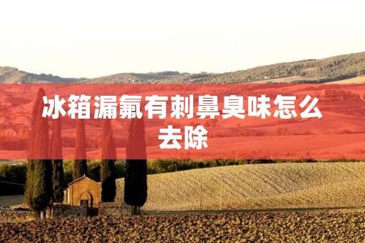 冰箱漏氟有刺鼻臭味怎么去除