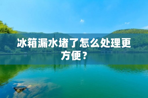 冰箱漏水堵了怎么处理更方便？