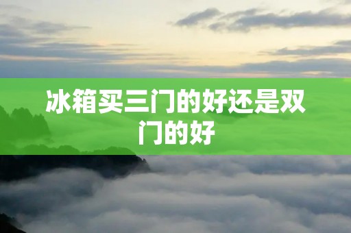 冰箱买三门的好还是双门的好：全面对比与分析
