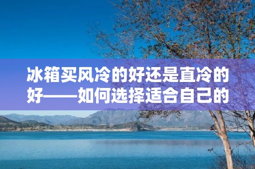 冰箱买风冷的好还是直冷的好——如何选择适合自己的冰箱类型？