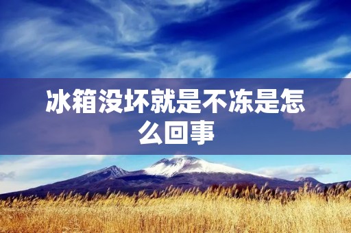 冰箱没坏就是不冻是怎么回事