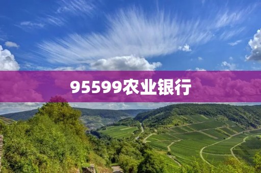 95599农业**:一站式金融服务助力农业发展 95599农业**:一站式金融服务助力农业发展