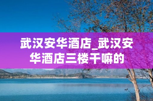 武汉安华酒店_武汉安华酒店三楼干嘛的 武汉安华酒店_武汉安华酒店三楼干嘛的