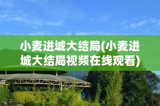 小麦进城大结局(小麦进城大结局视频在线观看) 小麦进城大结局(小麦进城大结局视频在线观看)