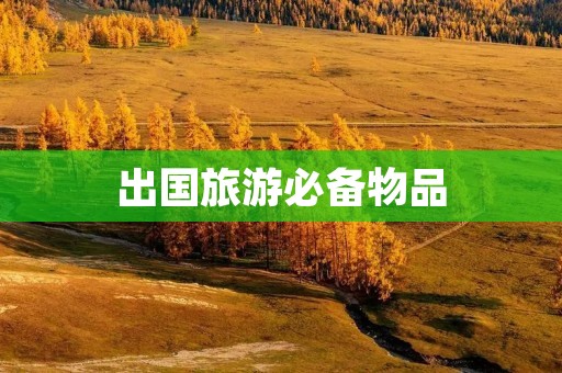 出国旅游必备物品：让你的旅途更加便利和舒适
