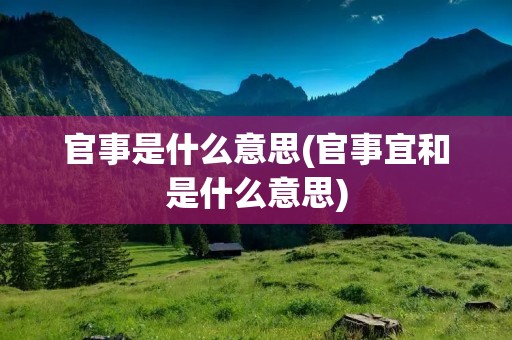 官事是什么意思(官事宜和是什么意思)