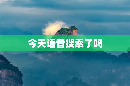 今天语音搜索了吗