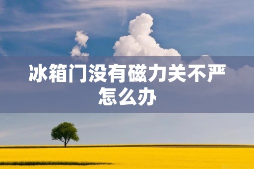 冰箱门没有磁力关不严怎么办