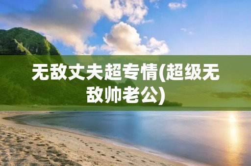无敌丈夫超专情(超级无敌帅老公)