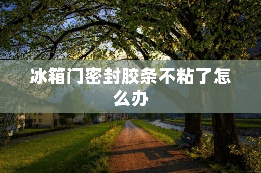 冰箱门密封胶条不粘了怎么办