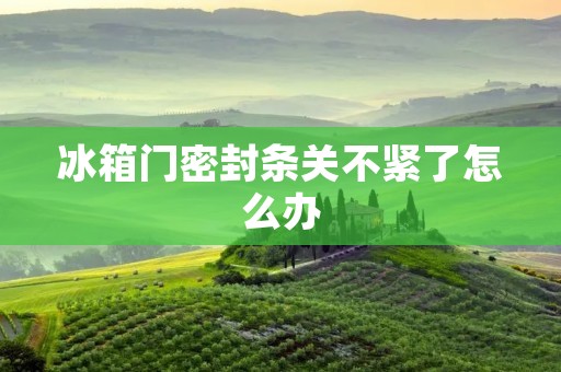 冰箱门密封条关不紧了怎么办