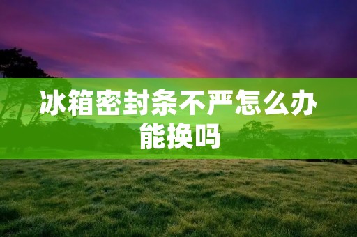 冰箱密封条不严怎么办能换吗