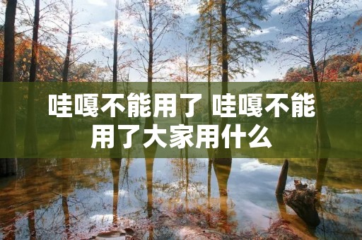 哇嘎不能用了 哇嘎不能用了大家用什么