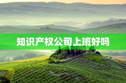 知识产权公司上班好吗