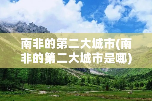 南非的第二大城市(南非的第二大城市是哪)