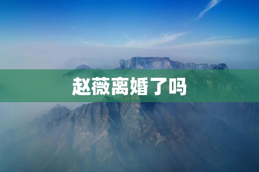 赵薇离婚了吗 赵薇离婚了吗