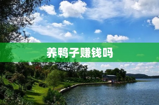 养鸭子赚钱吗