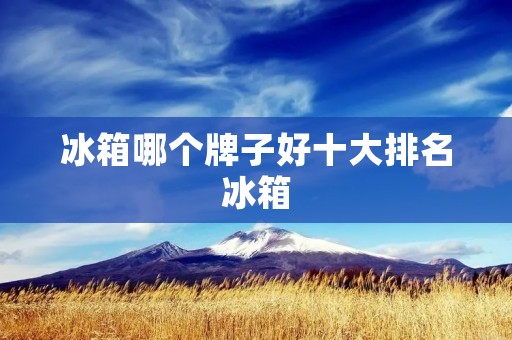 冰箱哪个牌子好十大排名冰箱:全面评测与推荐 冰箱哪个牌子好十大排名冰箱:全面评测与推荐
