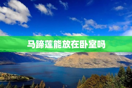 马蹄莲能放在卧室吗