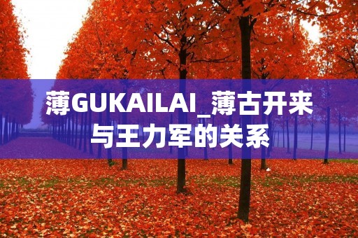 薄GUKAILAI_薄古开来与王力军的关系