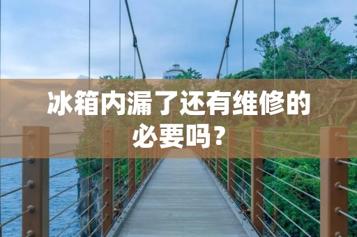 冰箱内漏了还有维修的必要吗？