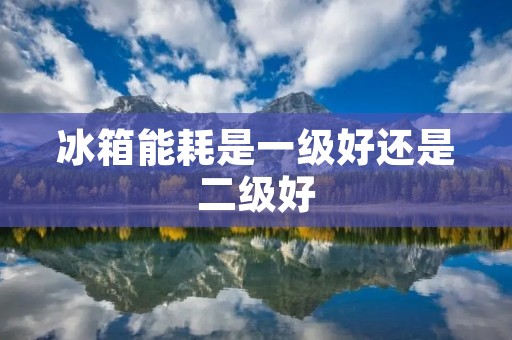 冰箱能耗是一级好还是二级好