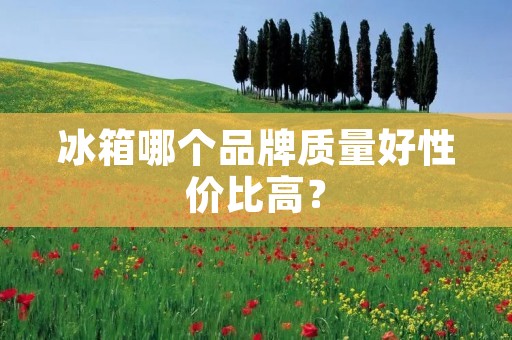 冰箱哪个品牌质量好性价比高? 冰箱哪个品牌质量好性价比高?