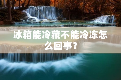 冰箱能冷藏不能冷冻怎么回事？