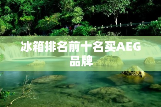 冰箱排名前十名买AEG品牌：为你推荐最优质的冰箱选择