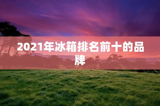 2021年冰箱排名前十的品牌：品质与创新并重，引领行业潮流
