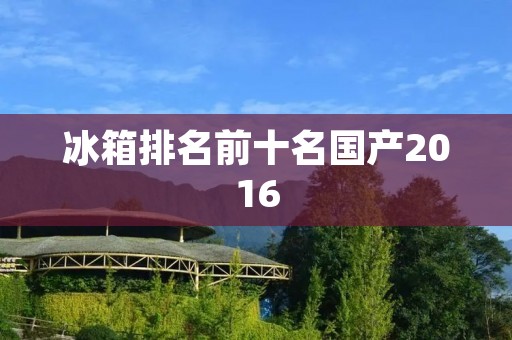 冰箱排名前十名国产2016：性能与质量的完美结合