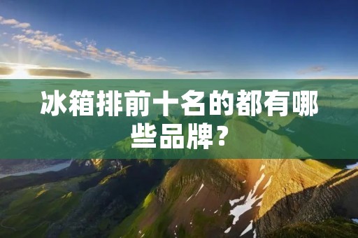 冰箱排前十名的都有哪些品牌？