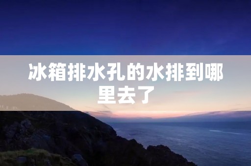 冰箱排水孔的水排到哪里去了