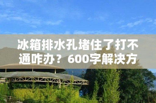 冰箱排水孔堵住了打不通咋办？600字解决方法详解