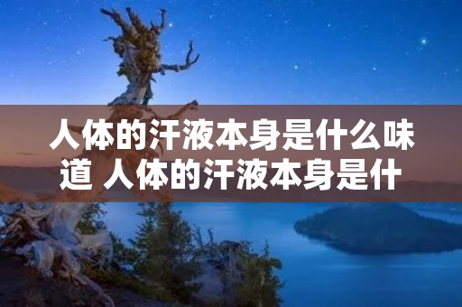 人体的汗液本身是什么味道 人体的汗液本身是什么味道的蚂蚁庄园 人体的汗液本身是什么味道 人体的汗液本身是什么味道的蚂蚁庄园