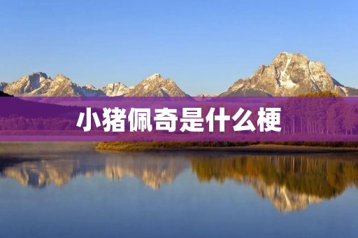小猪佩奇是什么梗