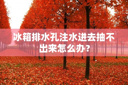 冰箱排水孔注水进去抽不出来怎么办？