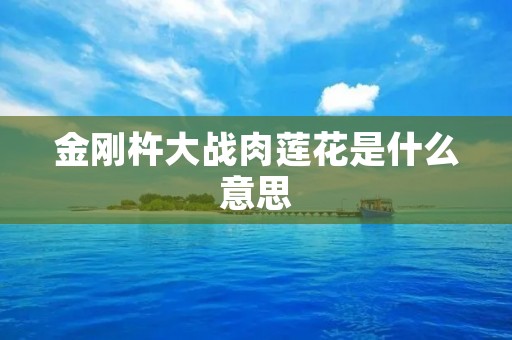 金刚杵大战肉莲花是什么意思 金刚杵大战肉莲花是什么意思