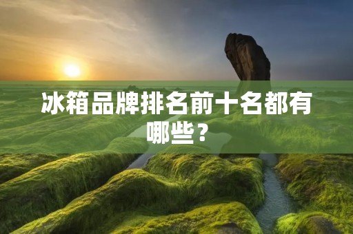 冰箱品牌排名前十名都有哪些？