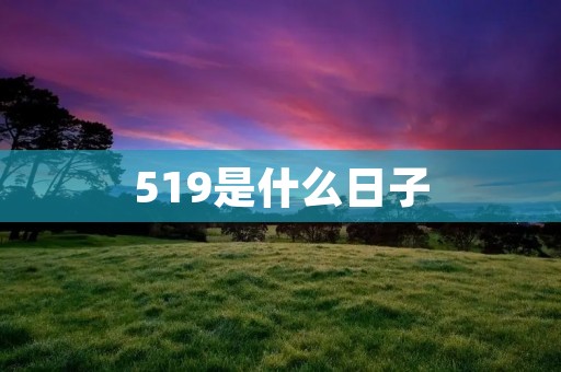 519是什么日子