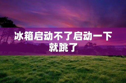 冰箱启动不了启动一下就跳了：解决方法与注意事项
