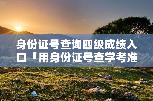 身份证号查询四级成绩入口「用身份证号查学考准考证号」
