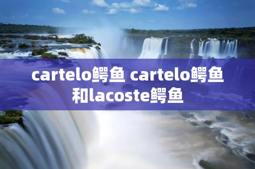cartelo鳄鱼 cartelo鳄鱼和lacoste鳄鱼