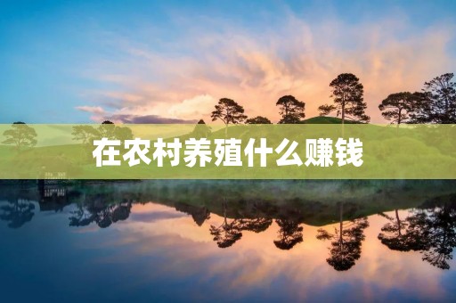 在农村养殖什么赚钱