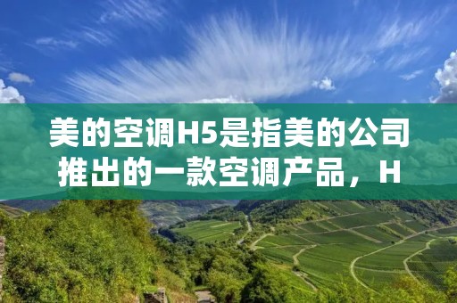 美的空调H5是指美的公司推出的一款空调产品，H5代表该产品的型号。美的是中国领先的家电制造商之一，其空调产品以高品质和先进技术而闻名。