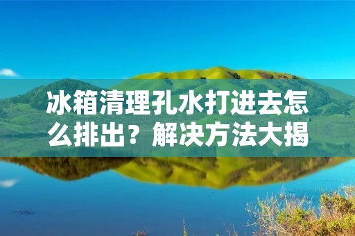 冰箱清理孔水打进去怎么排出？解决方法大揭秘！