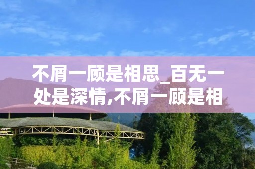 不屑一顾是相思_百无一处是深情,不屑一顾是相思 不屑一顾是相思_百无一处是深情,不屑一顾是相思